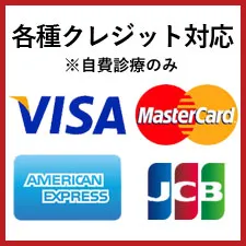 各種クレジット対応：VISA/Master/JCB/AMEX